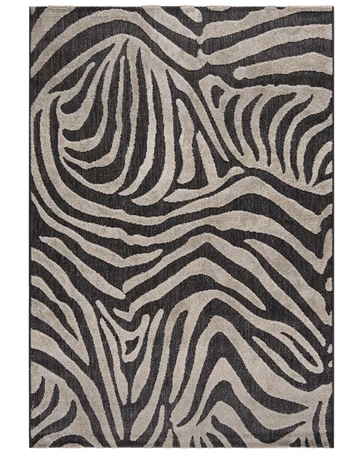 Zebra Beige